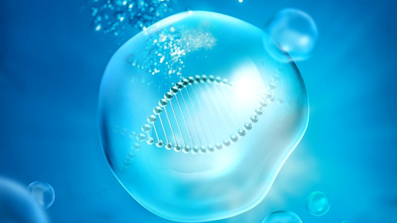 敏感肌面膜，生物科技如何突破界限？**