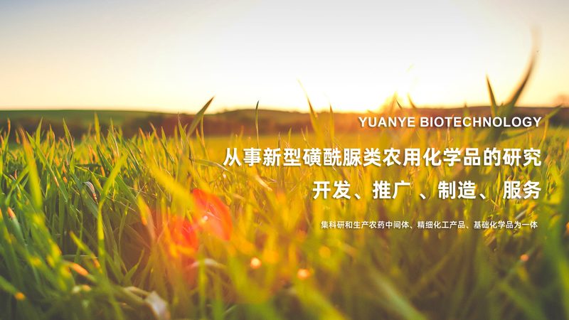 CDMO项目评估指标体系