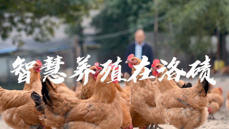 磷酸化抗体：精准治疗背后的科学逻辑