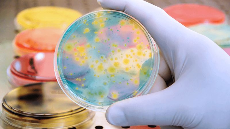 生物医药园区招商标准要求揭秘：如何打造产业高地