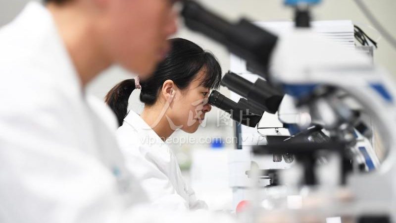 揭秘上海生物医药研发服务：如何选择优质合作伙伴