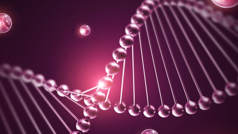 北京离心管批发价格揭秘：如何选择性价比高的产品**