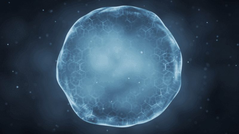 重组抗体表达外包：揭秘生物制药的关键环节**