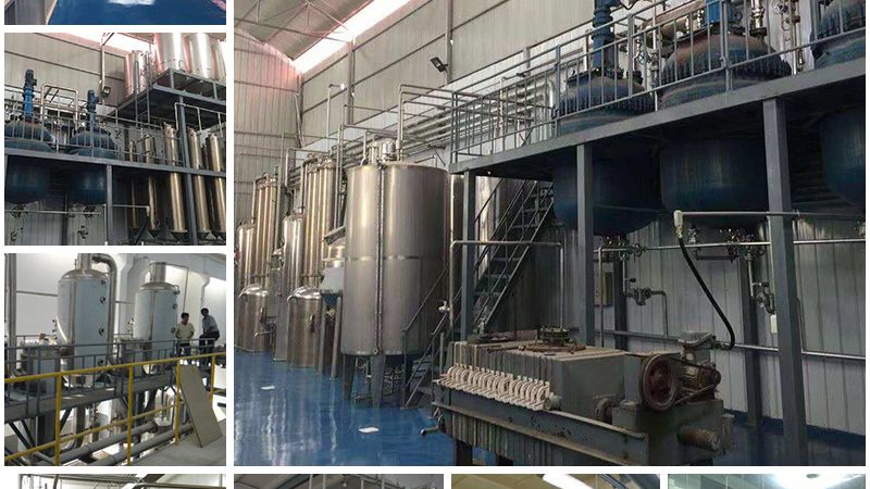 肿瘤细胞培养基：那些容易被忽视的注意事项**
